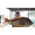 섬네일